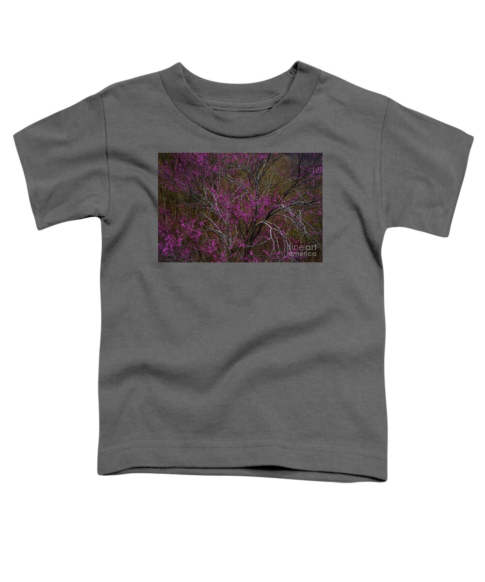 Spring Toddler T-Shirt featuring the photograph Redbud in the Spring Woods by Thomas R Fletcher
