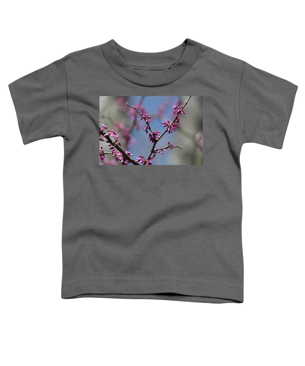 Flower Toddler T-Shirt featuring the photograph Redbud by John Benedict