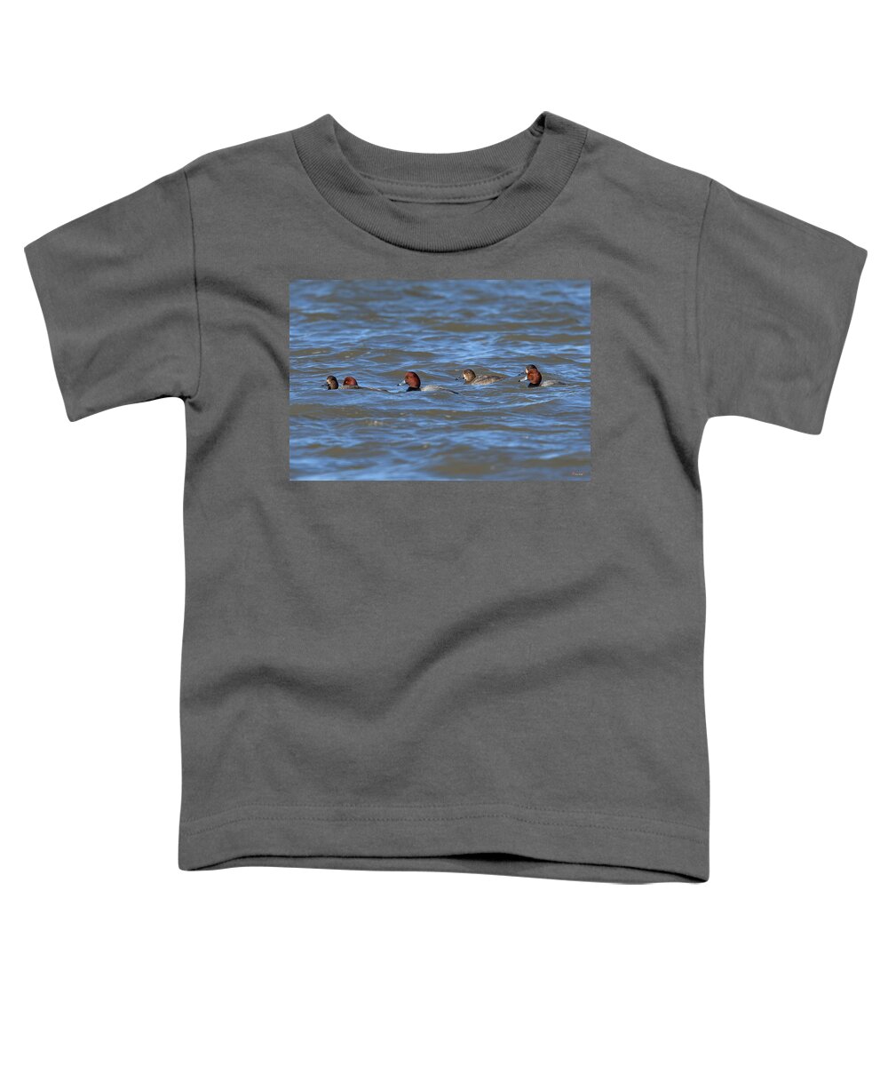 Marsh Toddler T-Shirt featuring the photograph Redhead Ducks DWF0138 by Gerry Gantt
