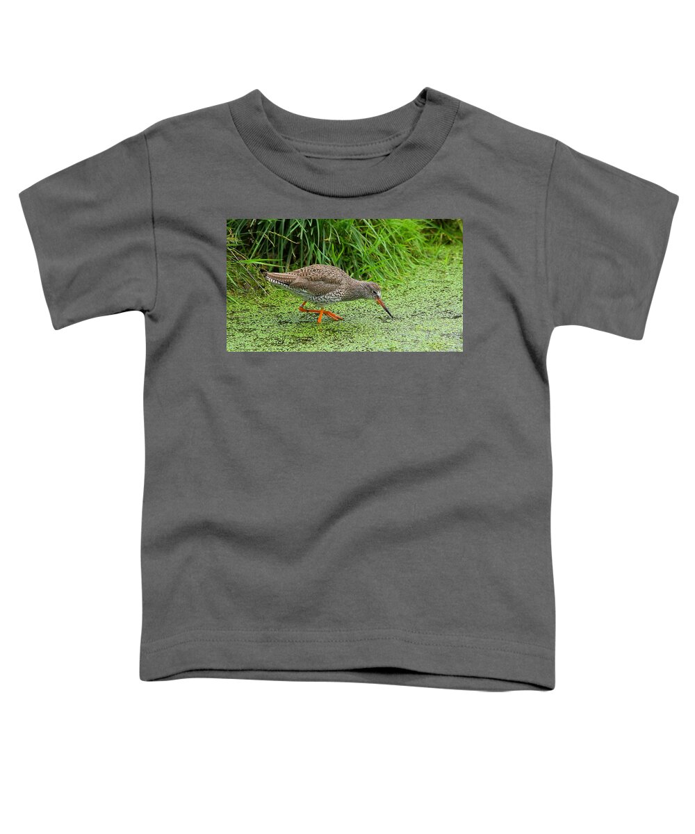 Birds Toddler T-Shirt featuring the photograph Redshank by Jeff Townsend