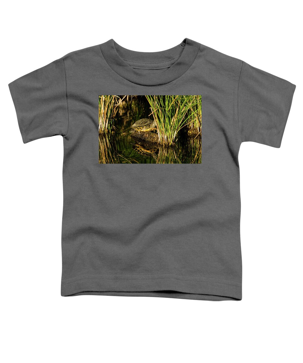Reflection Toddler T-Shirt featuring the photograph Reflect This by Douglas Killourie