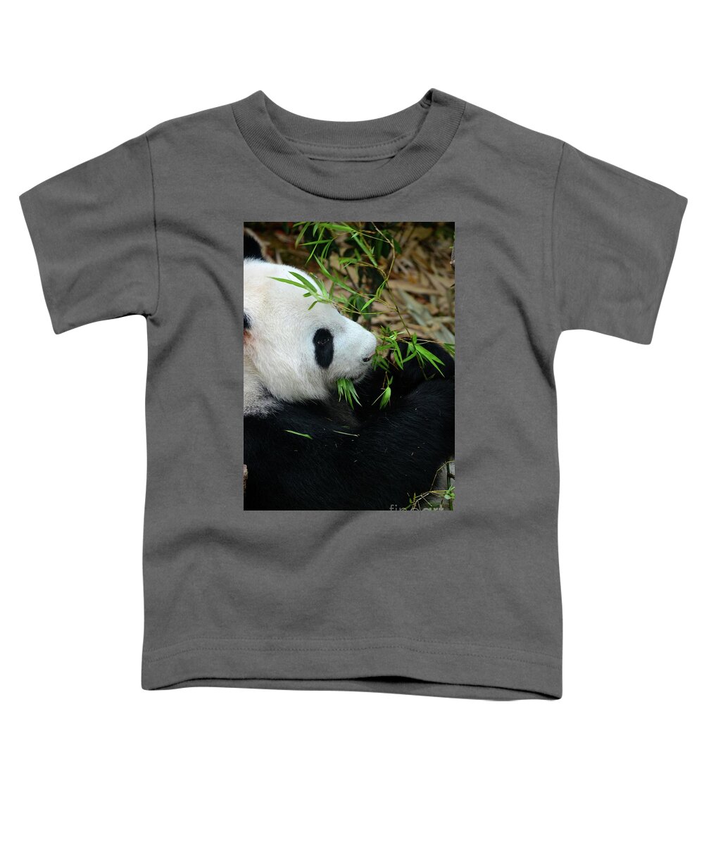 Panda Toddler T-Shirt featuring the photograph Relaxed Panda bear eats with green leaves in mouth by Imran Ahmed