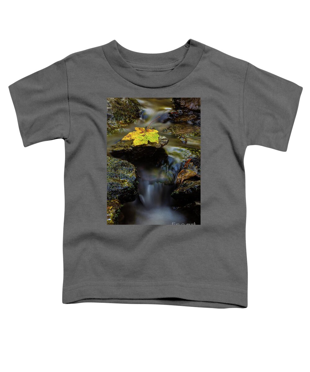 Stream Toddler T-Shirt featuring the photograph Renewal by Mark Alder