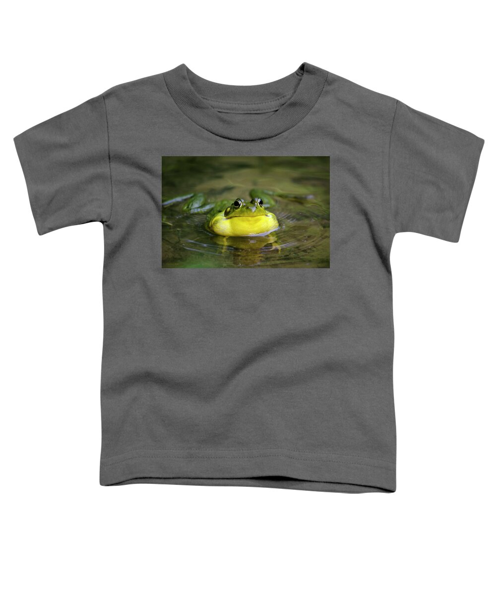 Frog Toddler T-Shirt featuring the photograph Ribbit Frog by Christina Rollo
