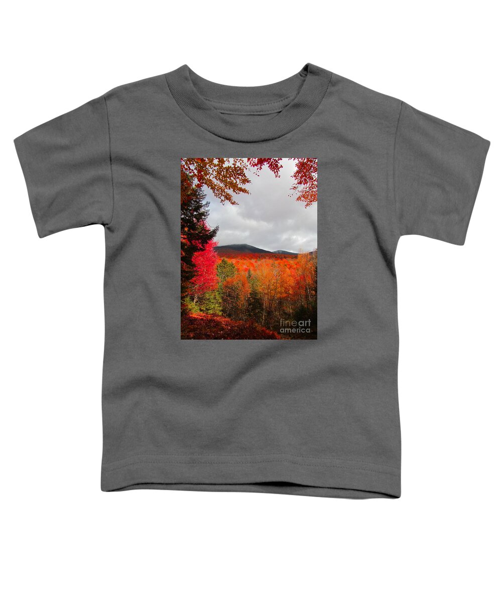 Autumn Toddler T-Shirt featuring the photograph Rich Fall New Hampshire Colors by Elizabeth Dow