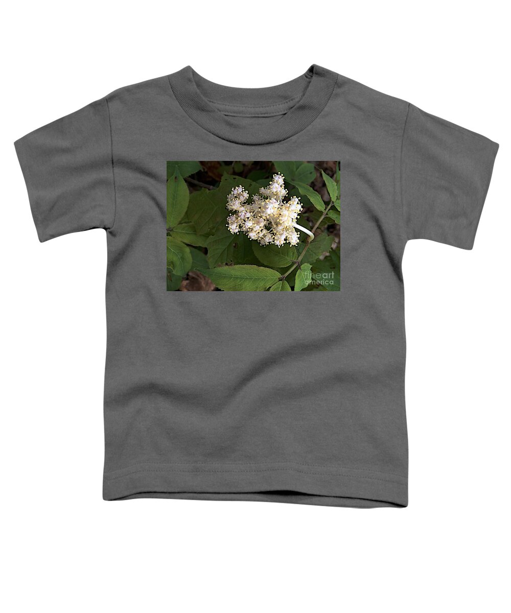 Michigan State University Toddler T-Shirt featuring the photograph Rising Forth by Joseph Yarbrough