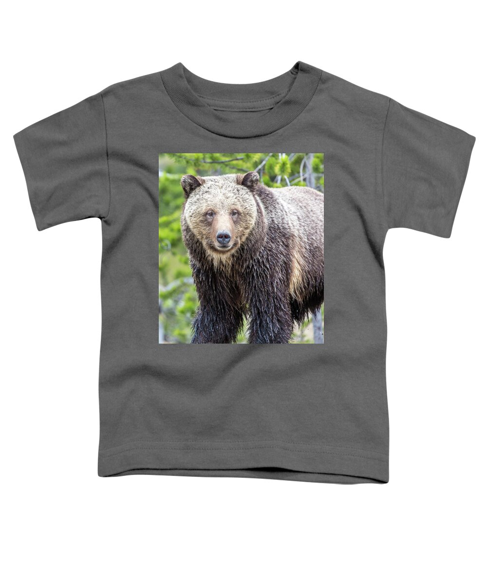 Grizzly Toddler T-Shirt featuring the photograph River Crossing by Kevin Dietrich