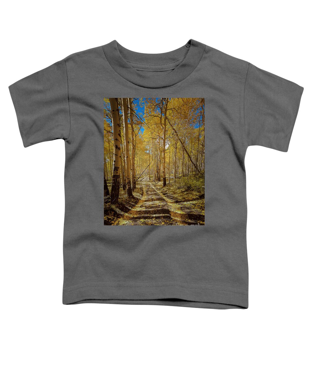 Nature Toddler T-Shirt featuring the photograph Road to Gold in Colorado by Steven Reed