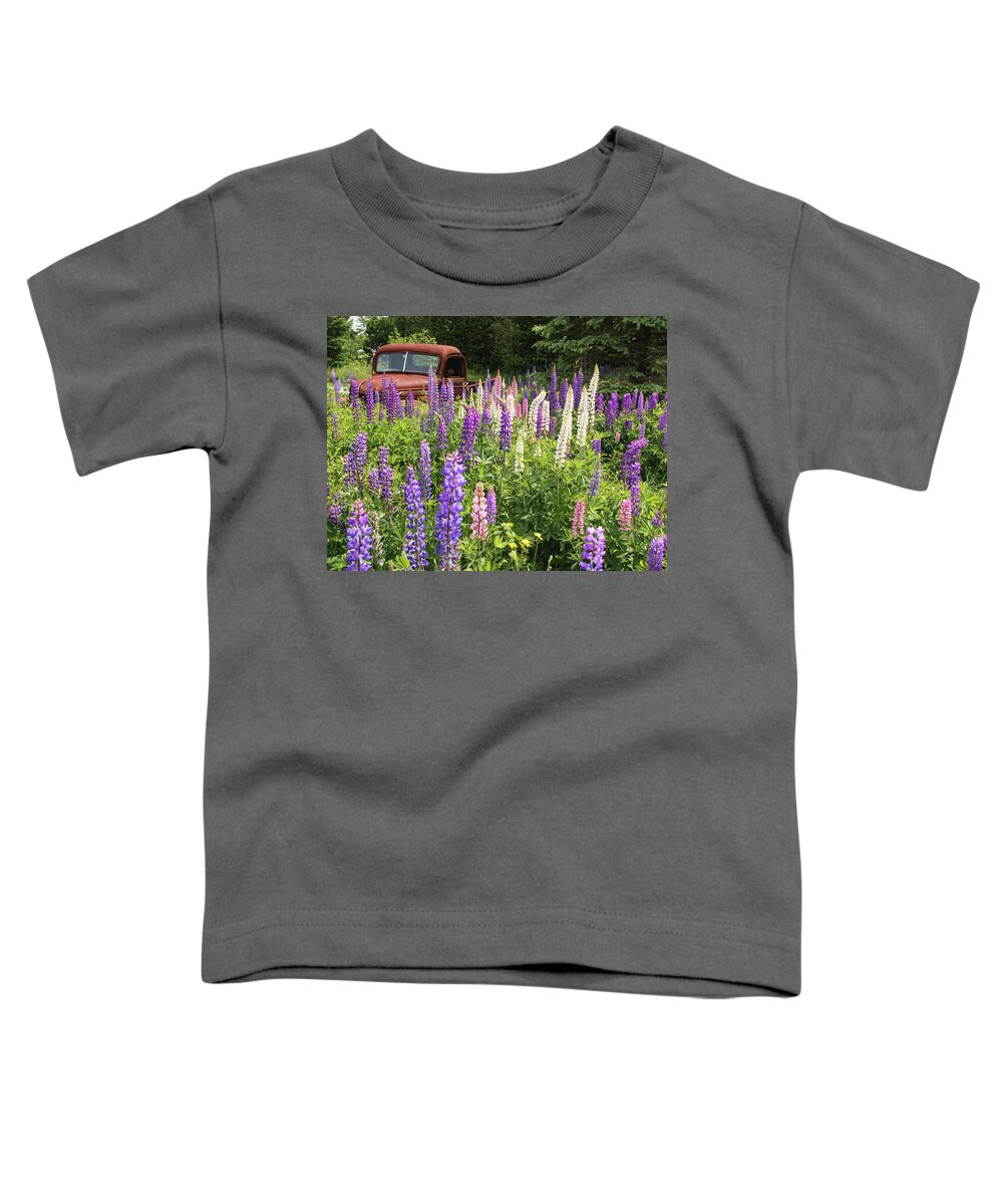 Lupines Toddler T-Shirt featuring the photograph Roadside Attraction by Holly Ross