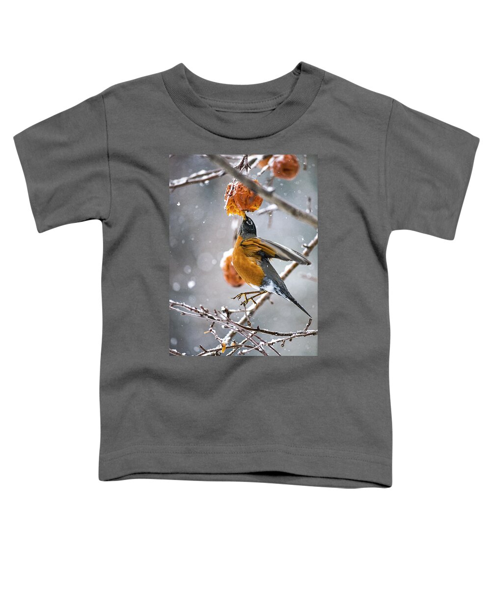 Robin Red Breast Toddler T-Shirt featuring the photograph Robin Hanging In There by Marty Saccone