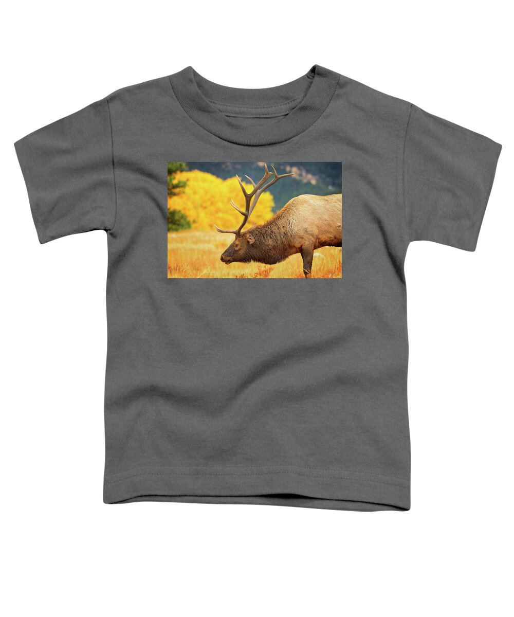 Elk Toddler T-Shirt featuring the photograph Rocky Mountain Bull Elk by Greg Norrell