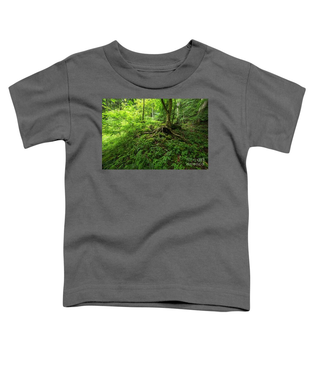 Birch Tree Toddler T-Shirt featuring the photograph Roots in West Virginia by Thomas R Fletcher