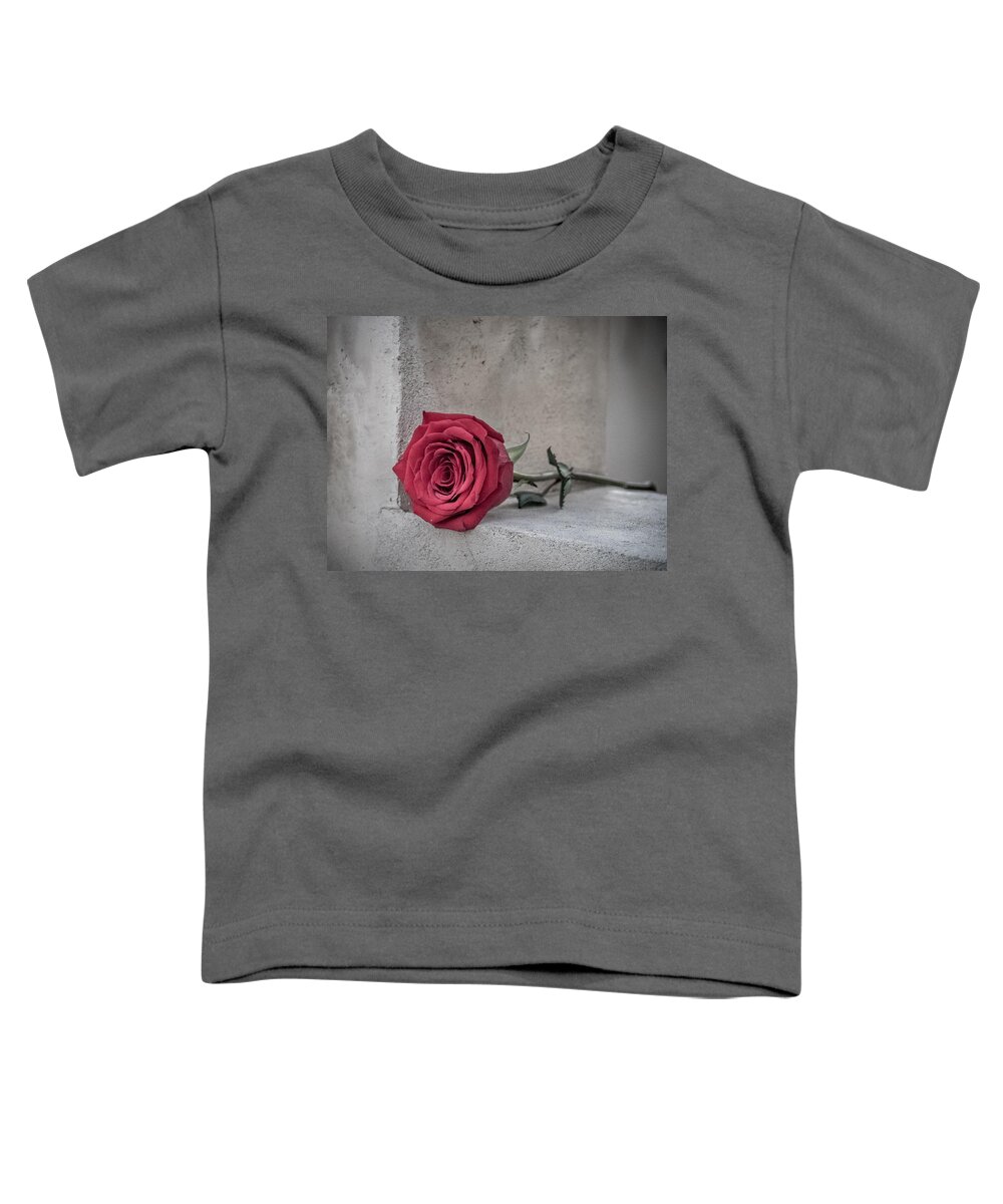 Flower Toddler T-Shirt featuring the photograph The Party's Over by Kristine Hinrichs