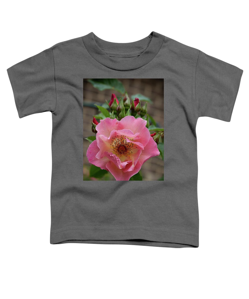 Floral Toddler T-Shirt featuring the photograph Rose and buds by Shirley Mitchell