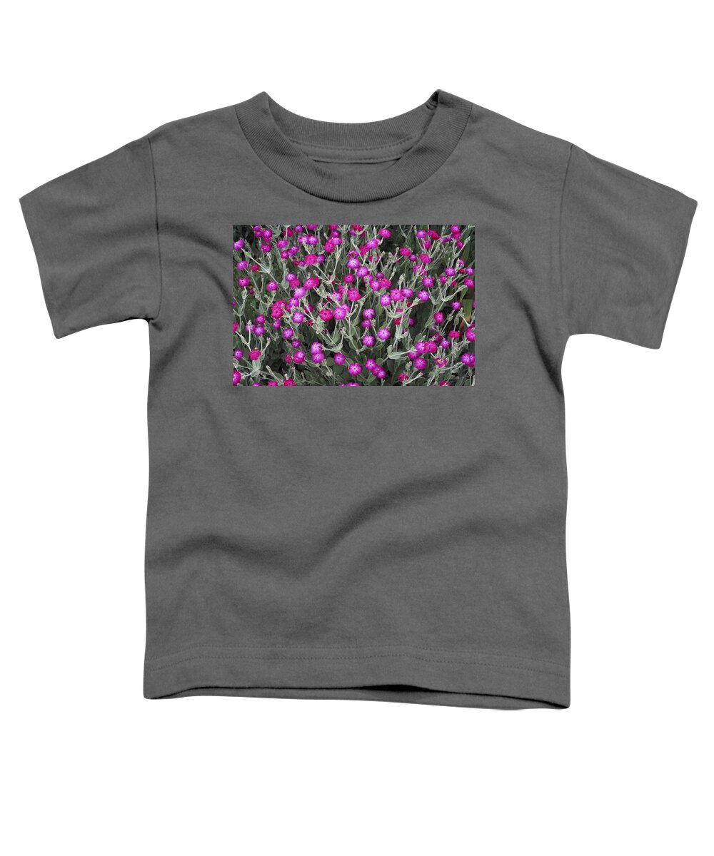 Red Toddler T-Shirt featuring the photograph Rose Campion by William Kuta