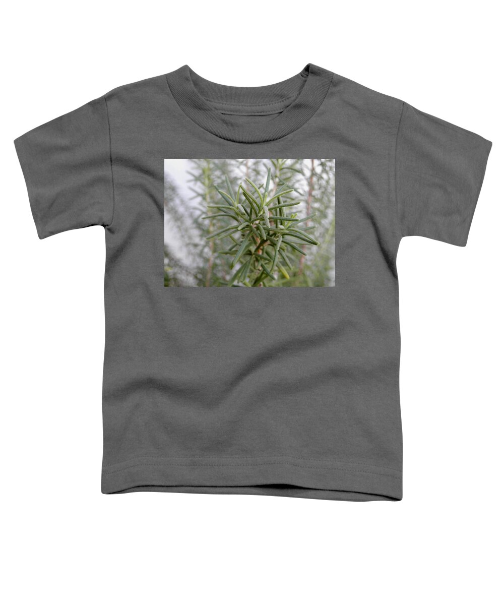#love The #scent Of #rosemary Great For #memory To #smell Toddler T-Shirt featuring the photograph Rosemary Morning by Belinda Lee