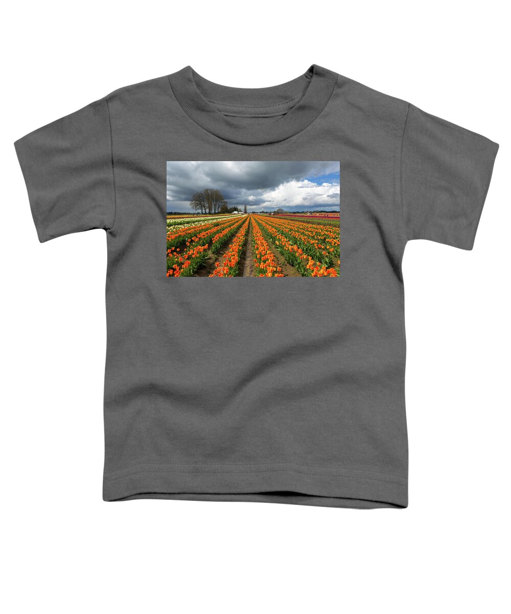 Wooden Shoe Toddler T-Shirt featuring the photograph Rows of Colorful Tulips at Festival by David Gn