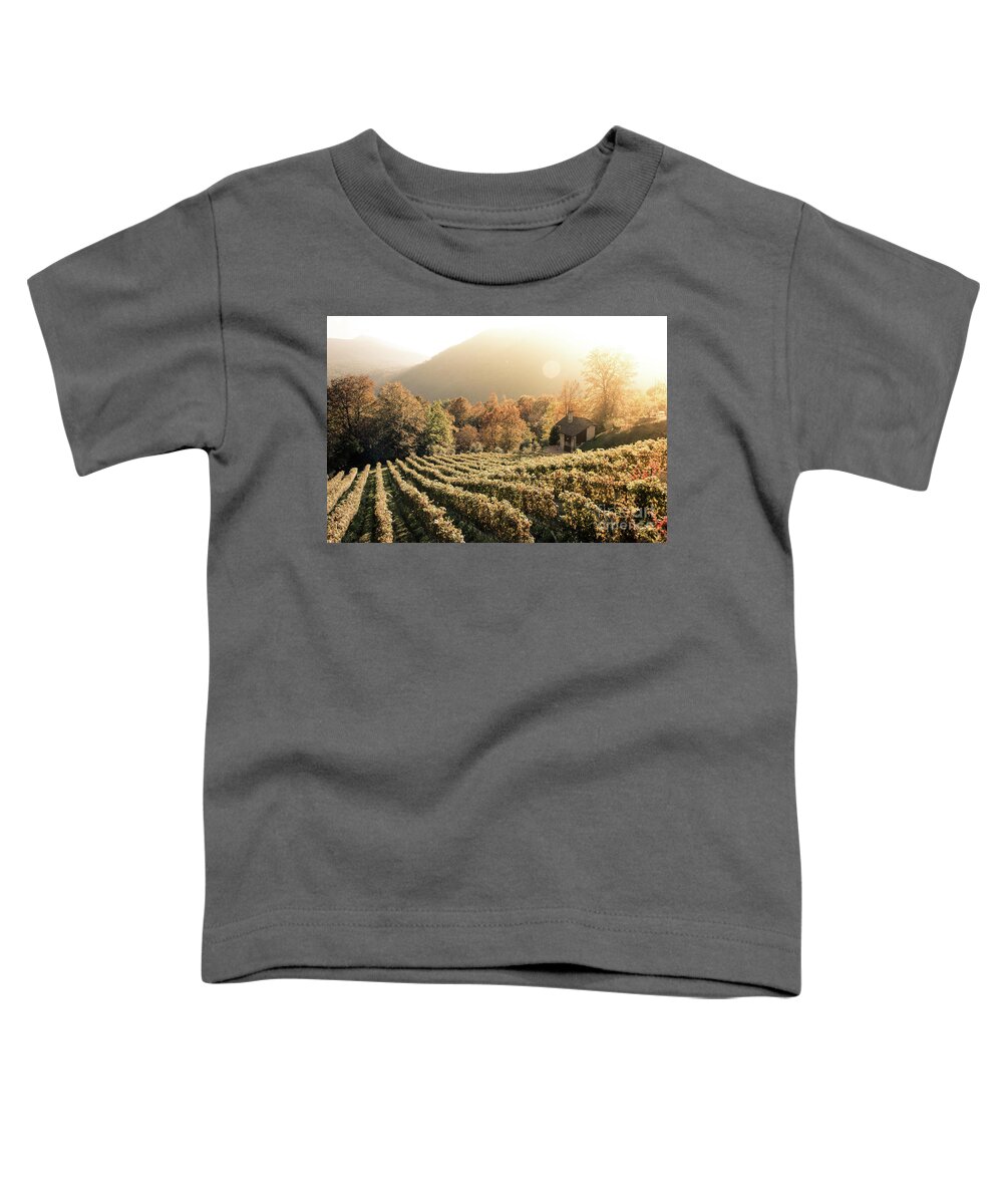 Autumn Toddler T-Shirt featuring the photograph Rows of vine in a vineyard in ticino, switzerland at sunset by Amanda Mohler