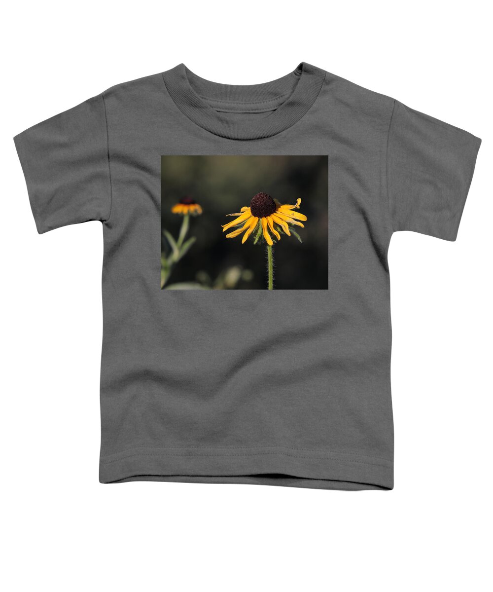 Black-eyed Susan Toddler T-Shirt featuring the photograph Rudbeckia hirta by John Moyer