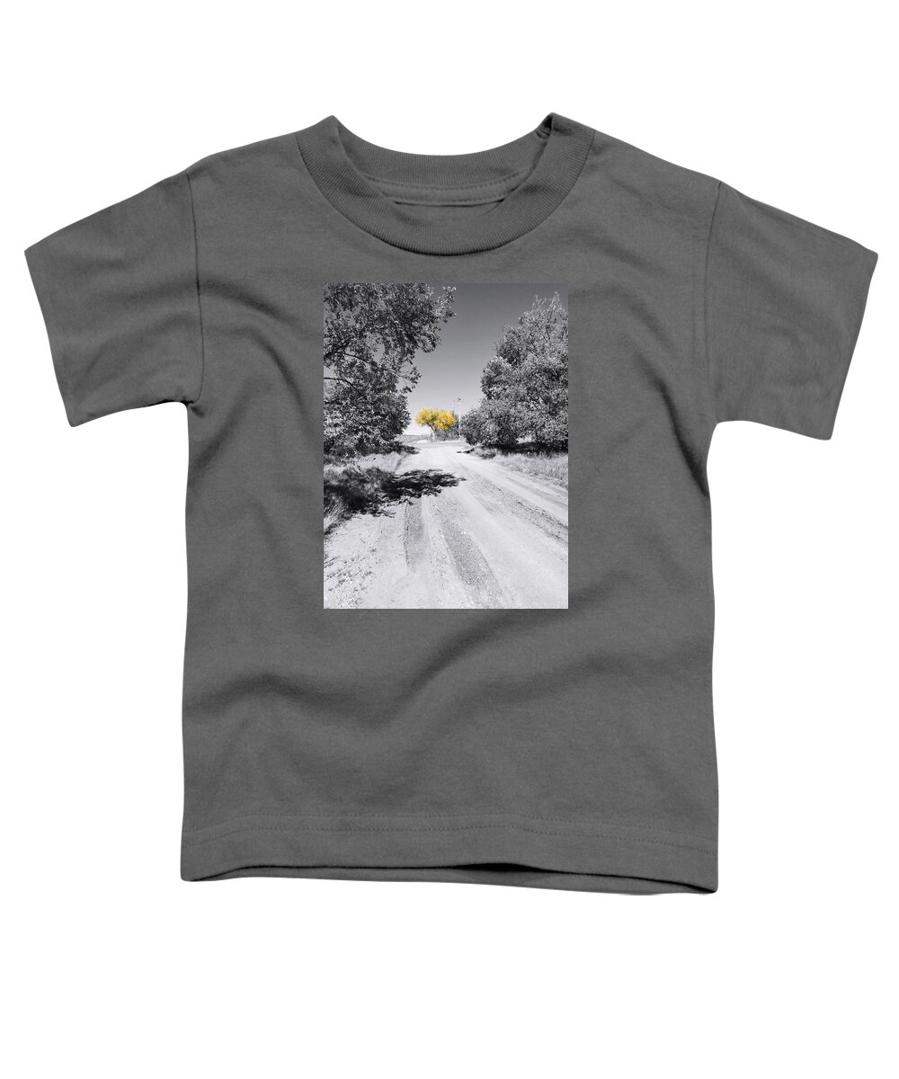 Autumn Toddler T-Shirt featuring the photograph Rural Autumn Splash by Brad Hodges