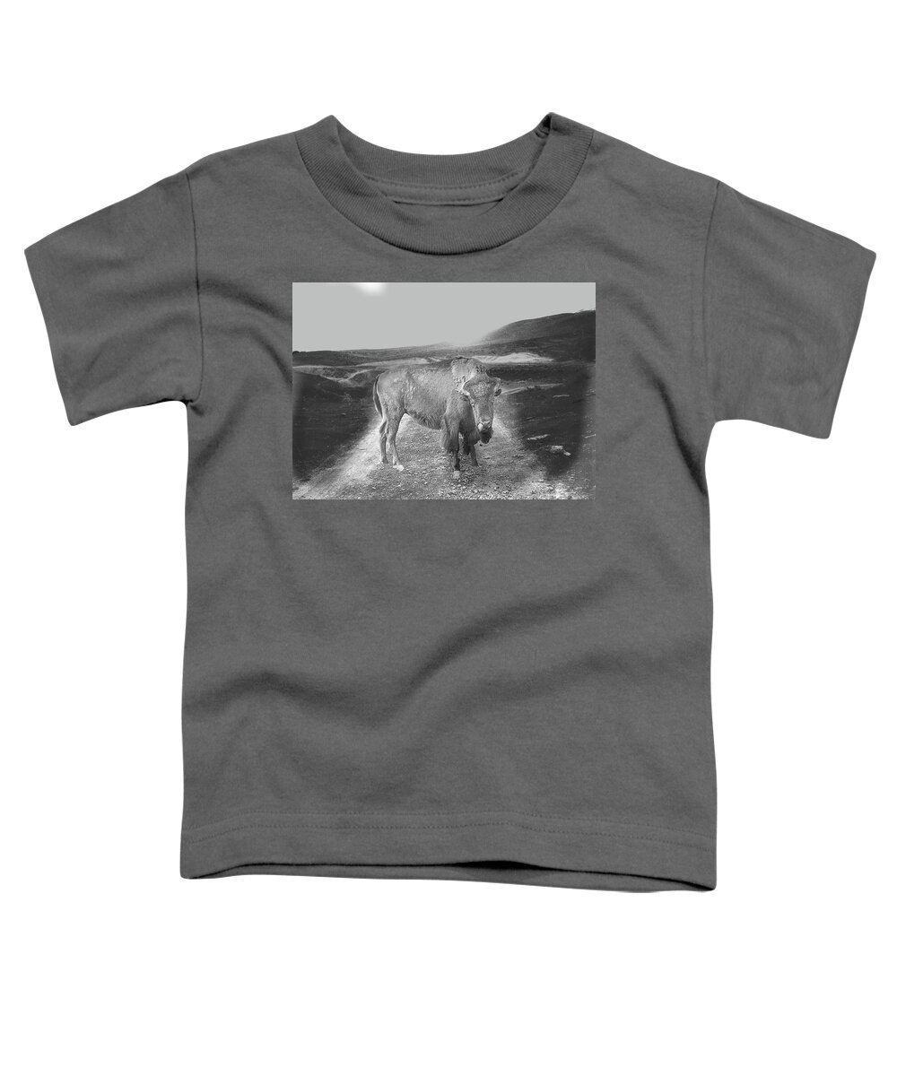 Buffalo Toddler T-Shirt featuring the photograph Rural Landscape #7 by Susan Crowell