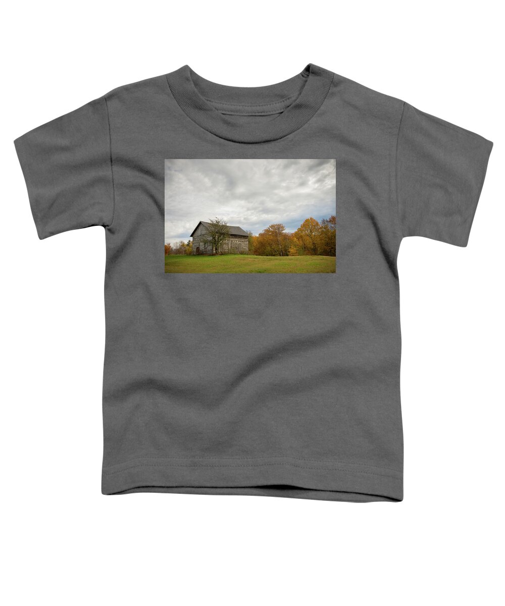 Cabin Toddler T-Shirt featuring the photograph Rustic Cabin by Steve L'Italien