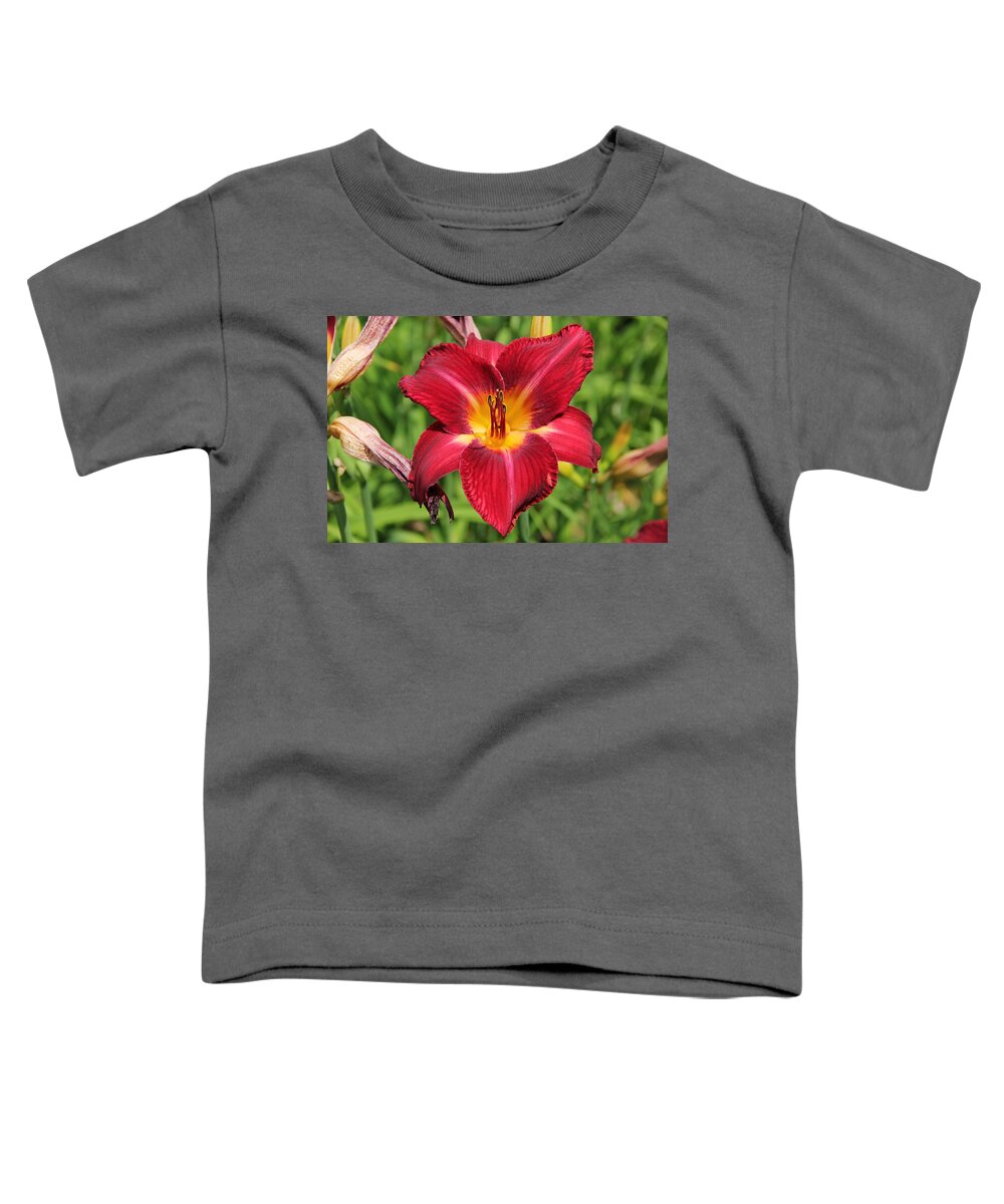 Daylily Toddler T-Shirt featuring the photograph Rustic Color Daylily by Allen Nice-Webb