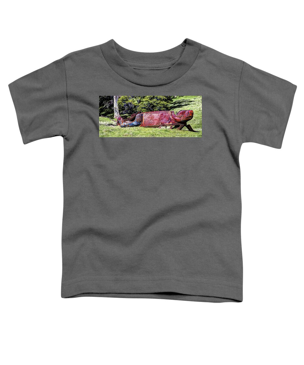  Toddler T-Shirt featuring the photograph Rusty and Forgotten by Wendy Carrington