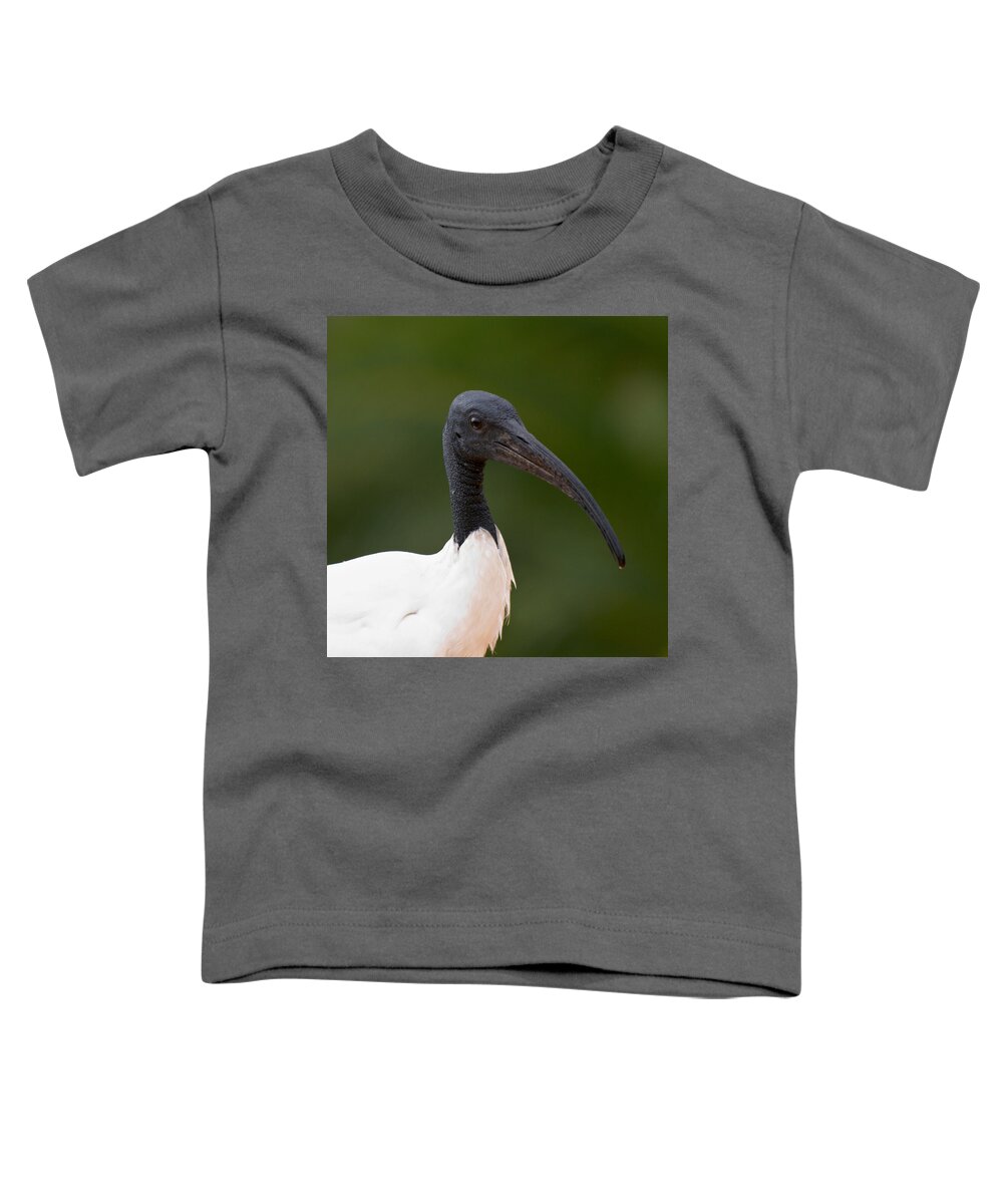 Lehtokukka Toddler T-Shirt featuring the photograph Sacred Ibis by Jouko Lehto