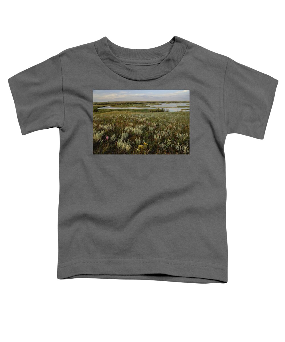 Mp Toddler T-Shirt featuring the photograph Sage Prairie And Marsh In Upper Souris by Gerry Ellis