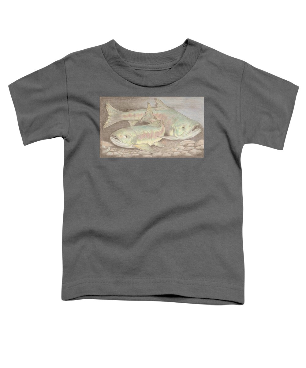 Salmon Toddler T-Shirt featuring the drawing Salmon Spawn by Dan McGibbon