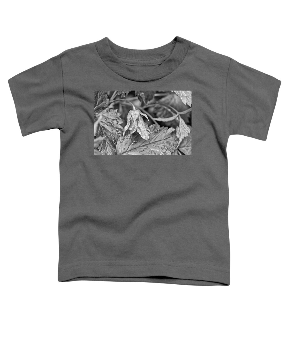 Salmonberry Toddler T-Shirt featuring the photograph Salmonberry Flower in the Rain Monochrome by Cathy Mahnke