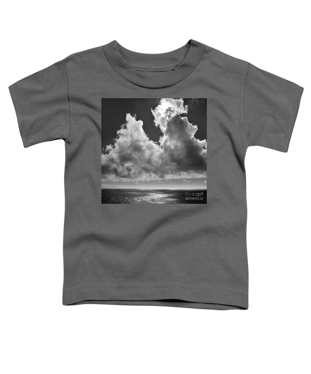 Same Difference Toddler T-Shirt featuring the photograph Same Difference 2 by Paul Davenport