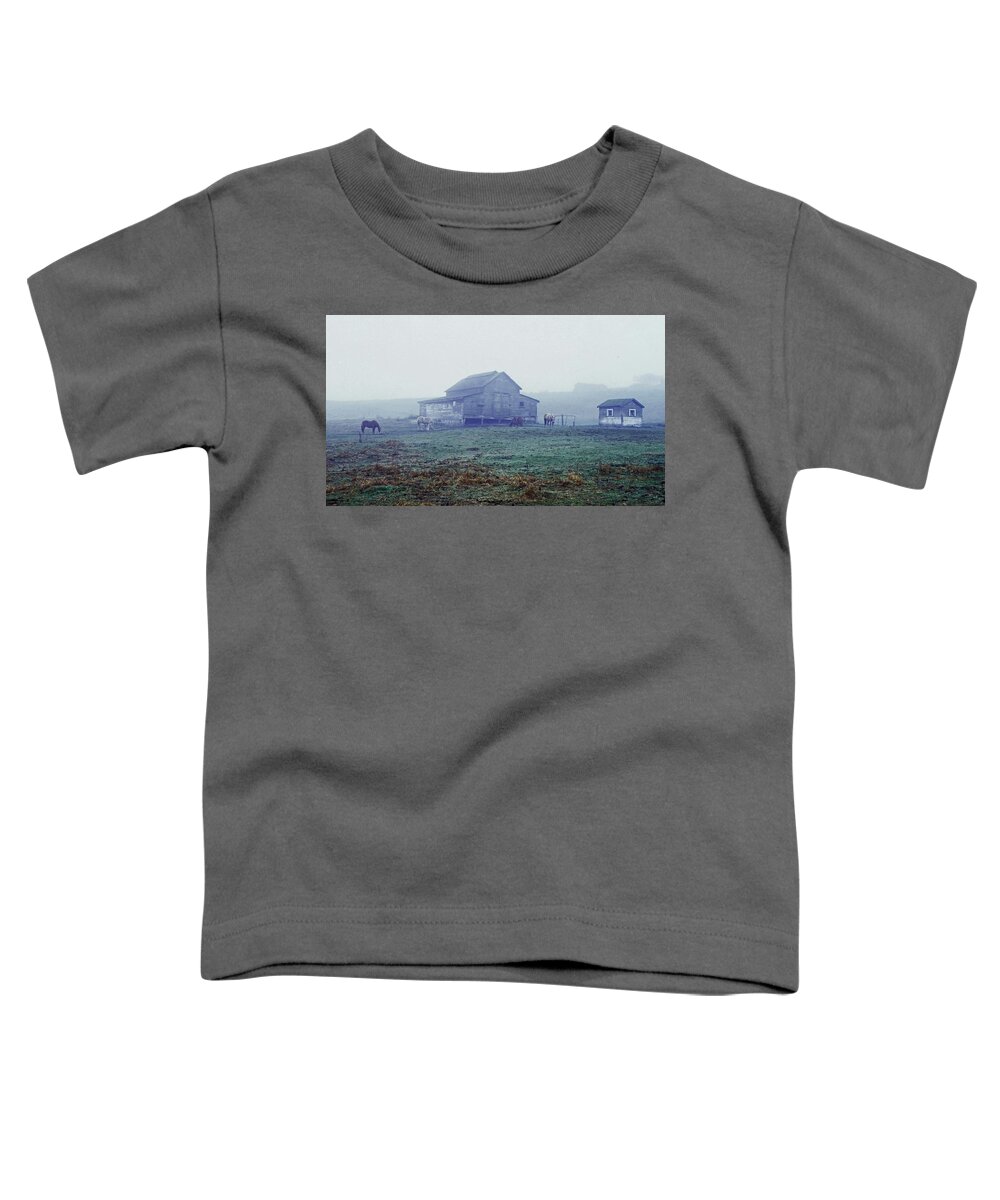 Port Townsend Nomura Pasture Horses Toddler T-Shirt featuring the photograph San Juan and Discovery by Laurie Stewart