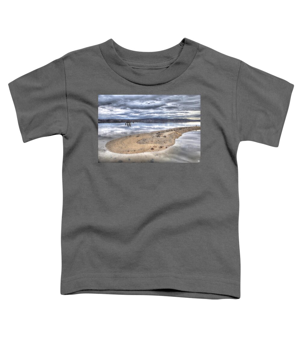 Sand Bar Toddler T-Shirt featuring the photograph Sandy Point by John Meader