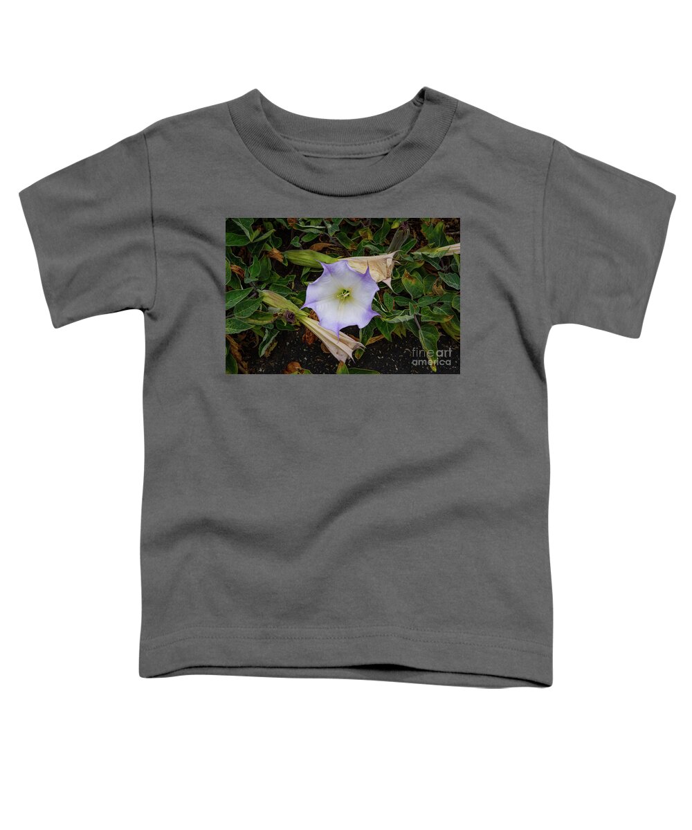 Coast Toddler T-Shirt featuring the photograph Santa Monica Mountains Sacred Datura by Jeff Hubbard