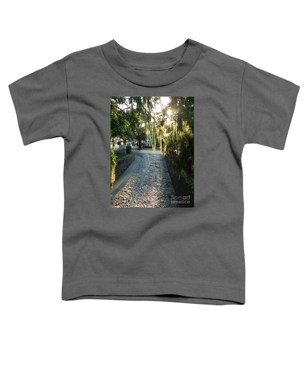 Savannah Toddler T-Shirt featuring the photograph Savannah Walkway by Deborah Ferree