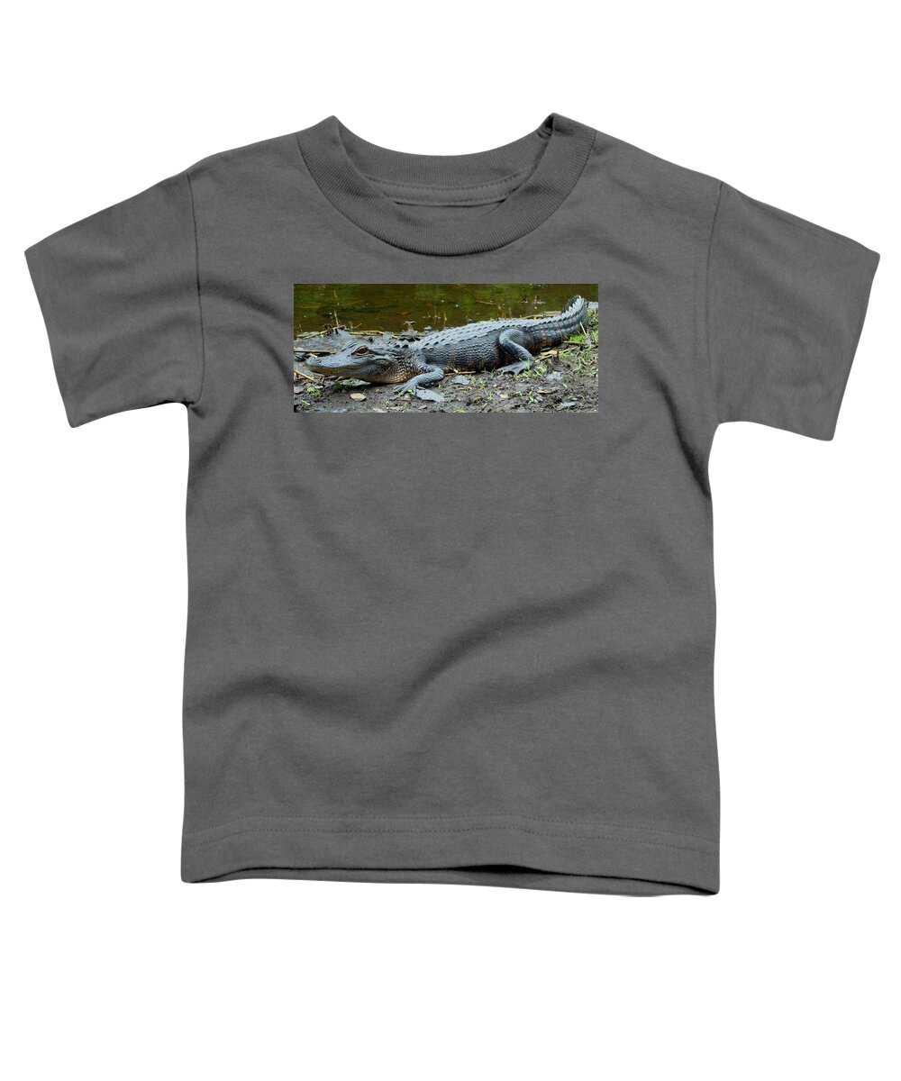 Gator Toddler T-Shirt featuring the photograph Sawgrass Gator by Julie Pappas