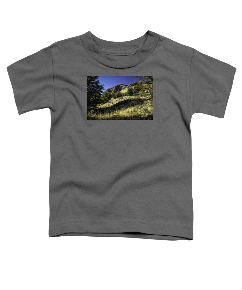 Patagonia Toddler T-Shirt featuring the photograph Scenic Overlook Patagonia 3 by Timothy Hacker