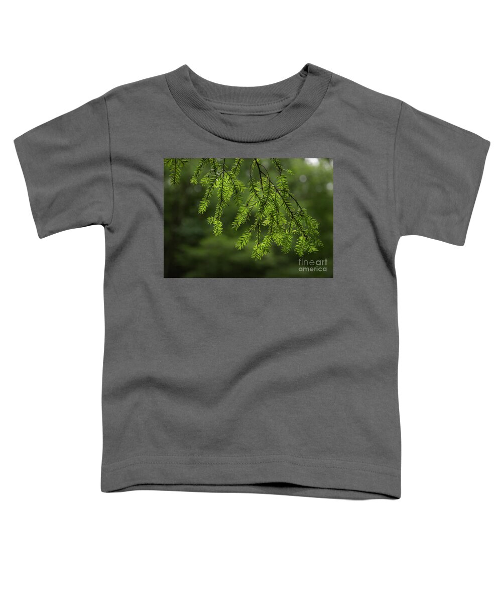 Pine Toddler T-Shirt featuring the photograph Scents Of Summer by Mike Eingle