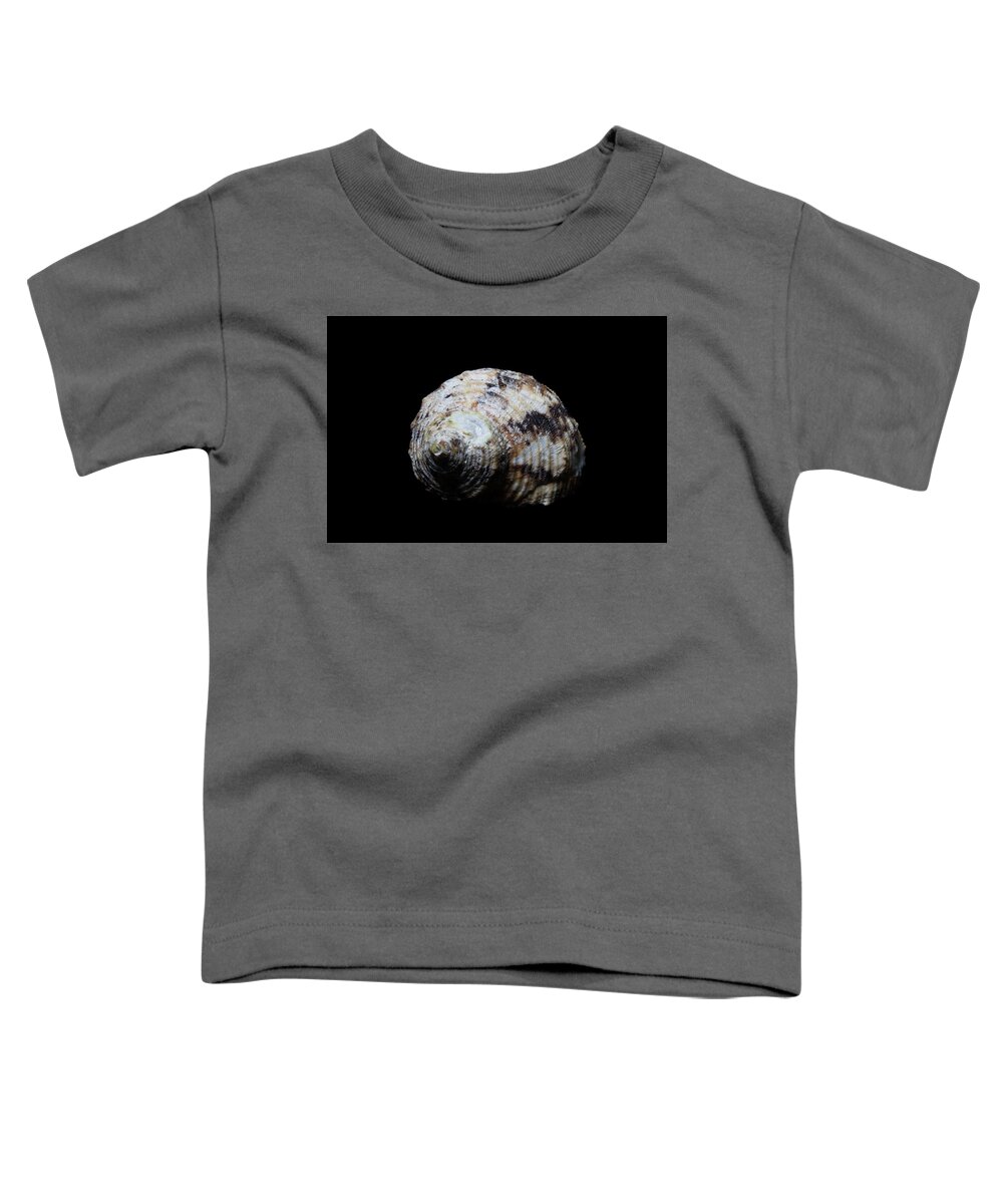 Sea Shell Toddler T-Shirt featuring the photograph Sea Shell 5 by David Stasiak