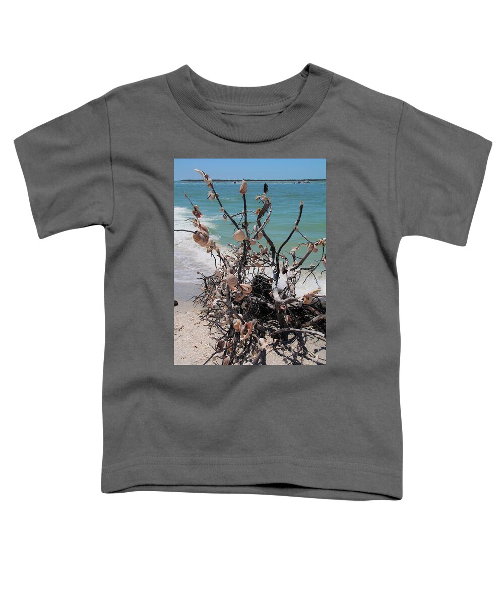 Sea Shells Toddler T-Shirt featuring the photograph Sea Shell Samba I by Michiale Schneider