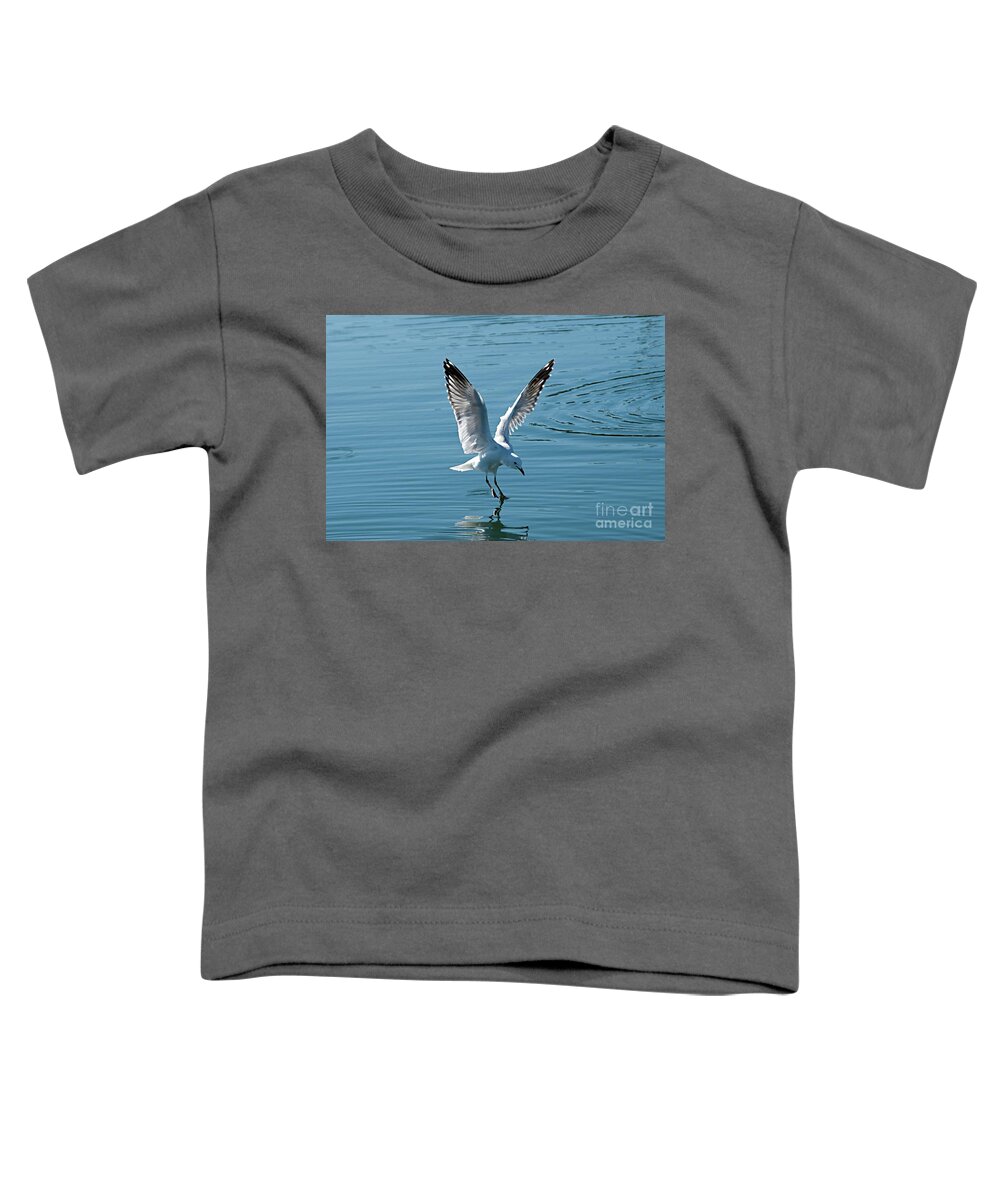 Australia Toddler T-Shirt featuring the photograph Seagull Landing with Water Reflections. by Geoff Childs