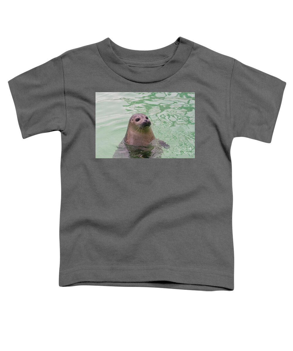 Animals Toddler T-Shirt featuring the photograph Seal in water by Patricia Hofmeester