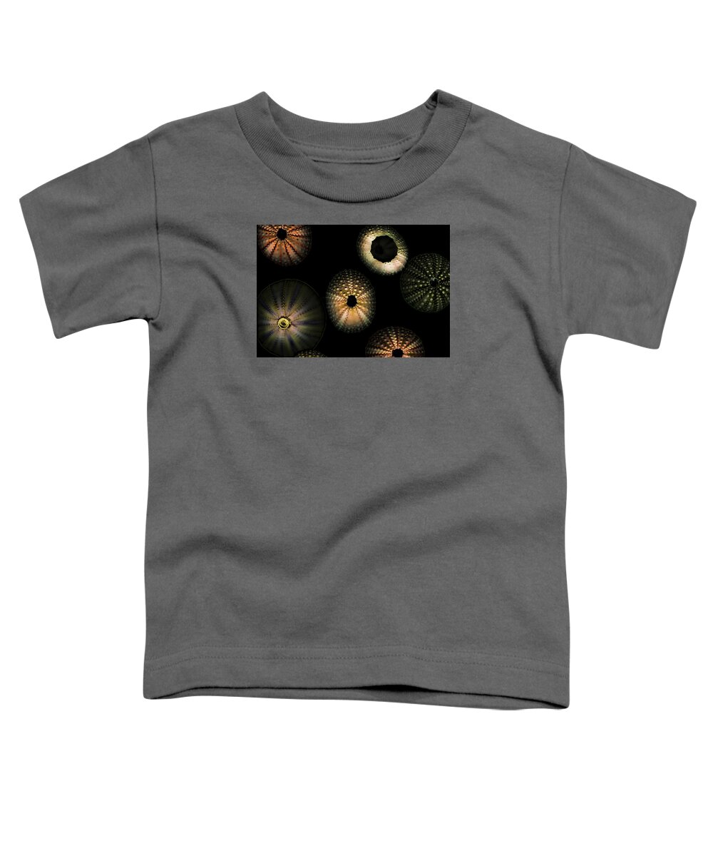Sea Shells Toddler T-Shirt featuring the digital art Seashells glowing by Cathy Anderson