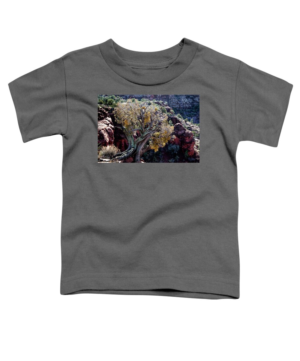 Curly Juniper Toddler T-Shirt featuring the photograph Sedona Tree #2 by David Chasey