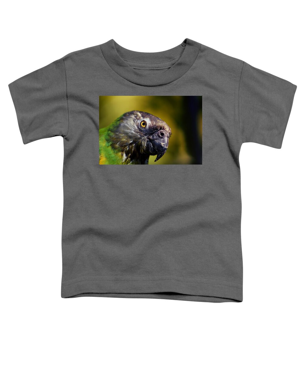 Parrot Toddler T-Shirt featuring the photograph See My Personality by Eskemida Pictures