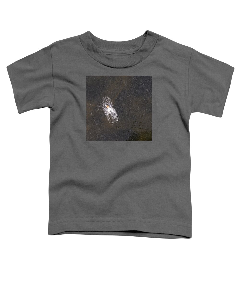 Ice Toddler T-Shirt featuring the photograph Seed on Ice - Lake Wingra - Madison - Wisconsin by Steven Ralser