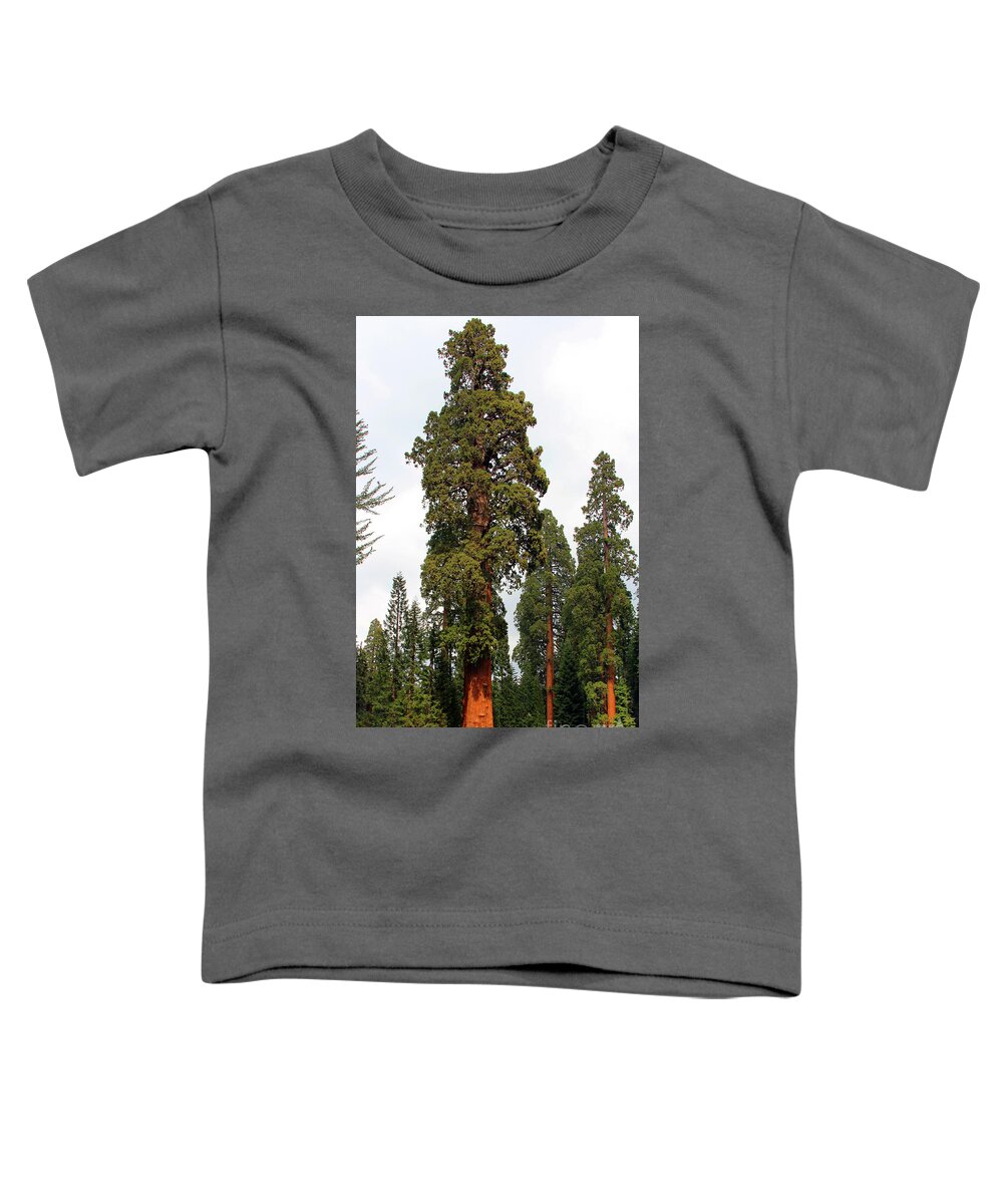 Sequoia National Park Toddler T-Shirt featuring the photograph Sequoia Tree 6615 by Jack Schultz