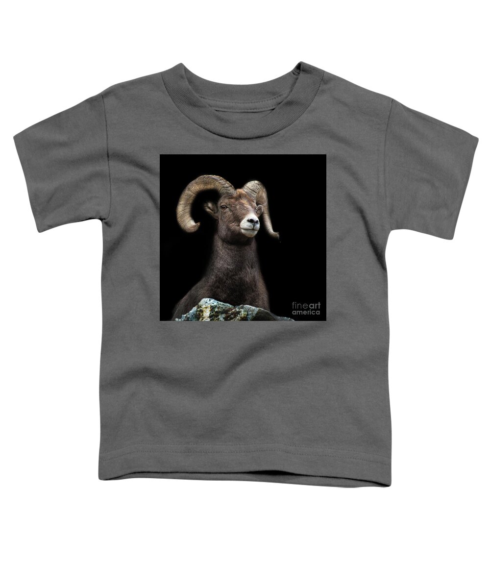 Bighorn Toddler T-Shirt featuring the photograph Shadowland by Jim Garrison